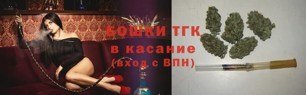 прущие крисы Аркадак