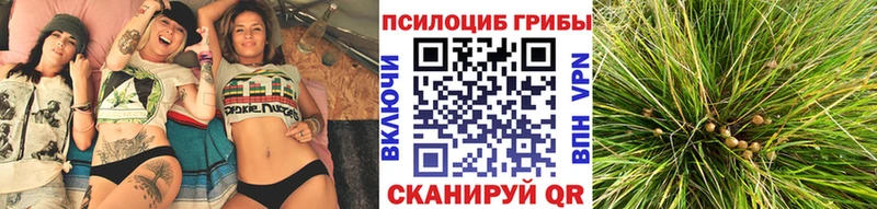Псилоцибиновые грибы GOLDEN TEACHER Ханты-Мансийск